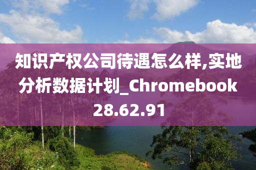 知识产权公司待遇怎么样,实地分析数据计划_Chromebook28.62.91