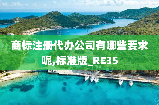 商标注册代办公司有哪些要求呢,标准版_RE35