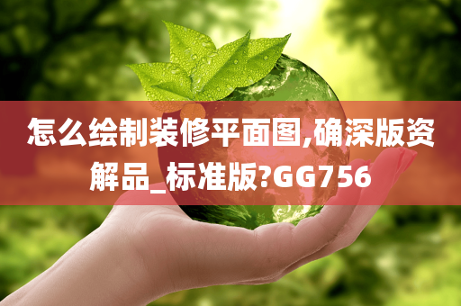 怎么绘制装修平面图,确深版资解品_标准版?GG756