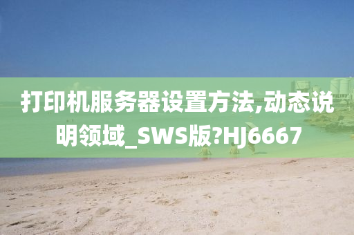 打印机服务器设置方法,动态说明领域_SWS版?HJ6667