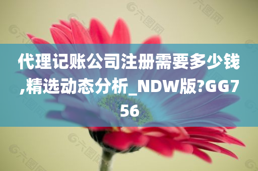 代理记账公司注册需要多少钱,精选动态分析_NDW版?GG756